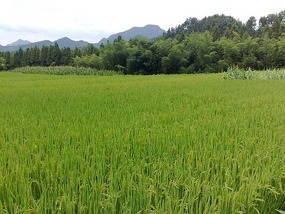 Qi Yun Shan Adventure