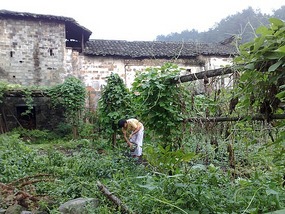 Da Likeng Village Adventure