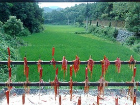 Wuyuan City Adventure