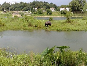 Wuyuan City Adventure