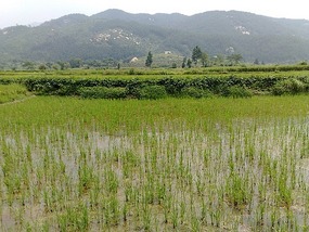 Luotiancun, Shuinan & Jingtai Village 