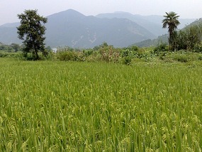 Luotiancun, Shuinan & Jingtai Village 