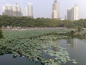 Jiujiang Lake & City  Adventure