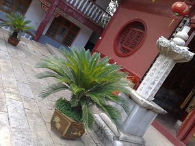 Dongling Monastery