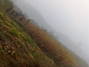 Mid Autumn Festival Bike Ride Adventures