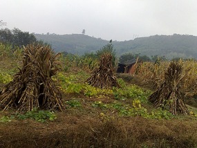 Mid Autumn Festival Bike Ride Adventures
