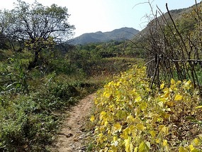Mid Autumn Festival Bike Ride Adventures