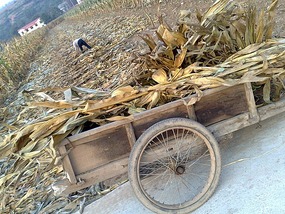 National Day Church & Corn Ride
