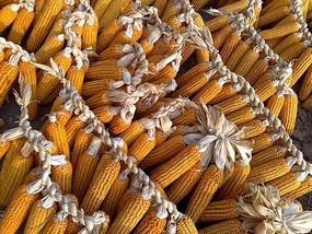 National Day Church & Corn Ride