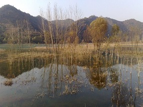 In search of Mulder & Scully at Xiane Lake with Fi