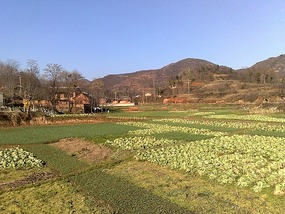 A Sunny & Floody Weeks Adventure