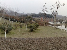 Kitty Catchup & Australia Day in Xian City