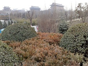 Kitty Catchup & Australia Day in Xian City
