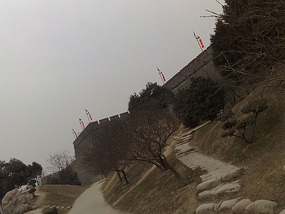 Kitty Catchup & Australia Day in Xian City