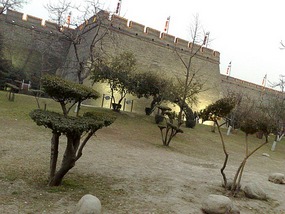 Kitty Catchup & Australia Day in Xian City