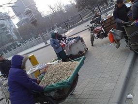 Kitty Catchup & Australia Day in Xian City