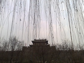 Kitty Catchup & Australia Day in Xian City