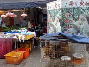Shantou City & The Rong River & District Walk