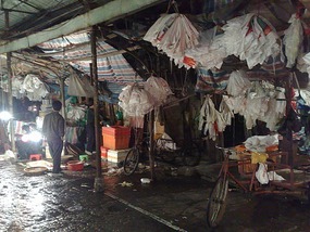 Shantou City & The Rong River & District Walk