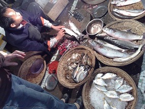 Shantou City & The Rong River & District Walk