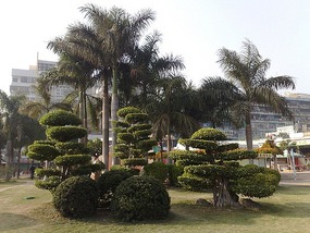 Shantou City & The Rong River & District Walk