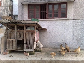 Queshi Town & Senic Area