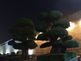 The Very Vibrant  Chaozhou City