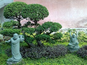 The Very Vibrant  Chaozhou City