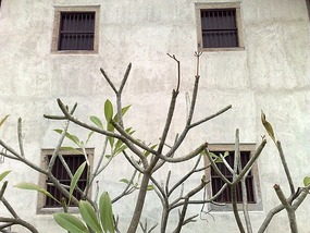 Meizhou Hakka Peoples Museum & Lianfang Tower (Hua