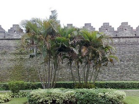 City Wall, River & Spring Festival Adventure