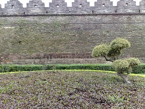 City Wall, River & Spring Festival Adventure