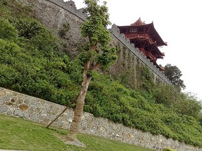 City Wall, River & Spring Festival Adventure
