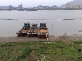 City Wall, River & Spring Festival Adventure