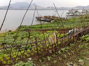 Zhaoqing Museum & River Alleys Adventure