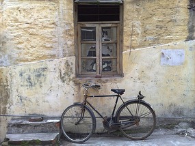 Zhaoqing Museum & River Alleys Adventure