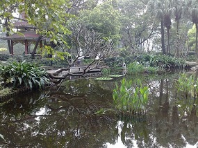 Last Drinks In Guangdong Province
