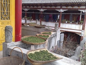 First Adventures  Around Hanzhong City