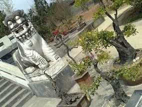 Zhang Qian Tomb & Local Temple Festival