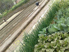 Hanzhong Beauties My School & Happenings
