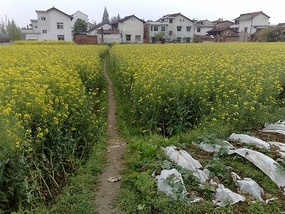 Hanzhong Beauties My School & Happenings