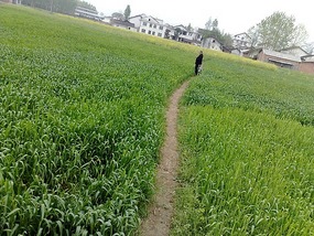 Hanzhong Beauties My School & Happenings