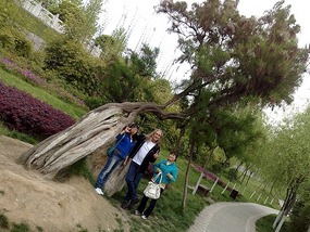 The Han River Bike Ride & A Visit From Terry & Eve