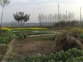 The Western Han River & Temple Ride