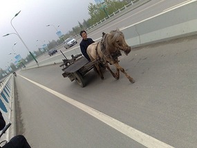 The Western Han River & Temple Ride