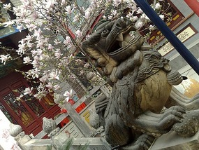 The Western Han River & Temple Ride