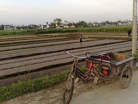 The Han River Water Buffalo Ride & Bar Night