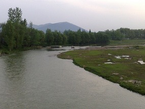 The Han River Water Buffalo Ride & Bar Night