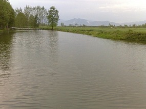 The Han River Water Buffalo Ride & Bar Night