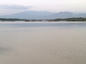 The Han River Water Buffalo Ride & Bar Night