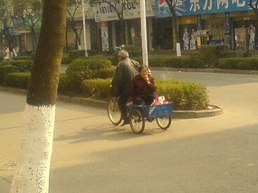 Things That Move Peddle & Pull